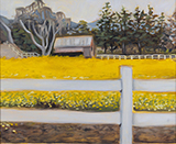 The Mustard Bloom by Megan Jackson