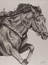 Chasing Dreams by Katelyn Estes