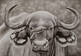 Mutualism by Grace Garrison