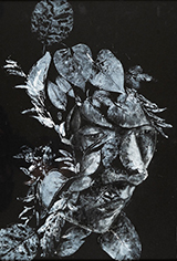 Lost in Nature by Sofia Aguas