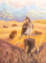 Symbols of Colorado by Aleksandra Antipova