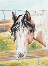 Man's Forgotten Friend by Jordan Weaver