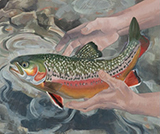 Releasing Trout by Raelyn Scott