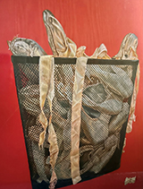 All That's Been Through by Emily Nie