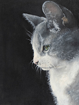 Con Artist by Nolan Chen