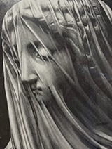 Ethereal Veil by Sophia Juviler