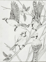 Taking Flight by Aviana Gholdoian