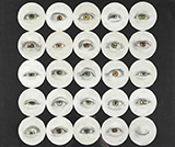 Spectator by Ella Canon