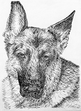 Beloved by Marisa Amitie