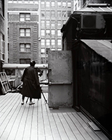 Rooftop Vista by Jules Mehlman