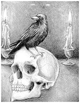 The Crows Nest by Peggy Flores