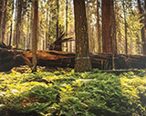 Fallen Soldier by Carson Roy