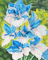 Dew Drops of Life by Jackeline Arellano