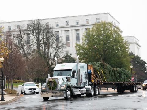 The Capitol Christmas Tree arrives on a flatbed of a truck.