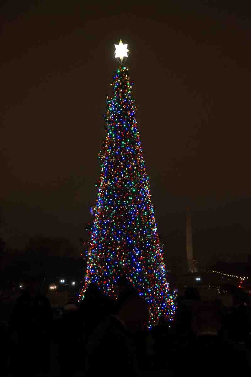 The Capitol Christmas Tree with the Washington Monument in the background