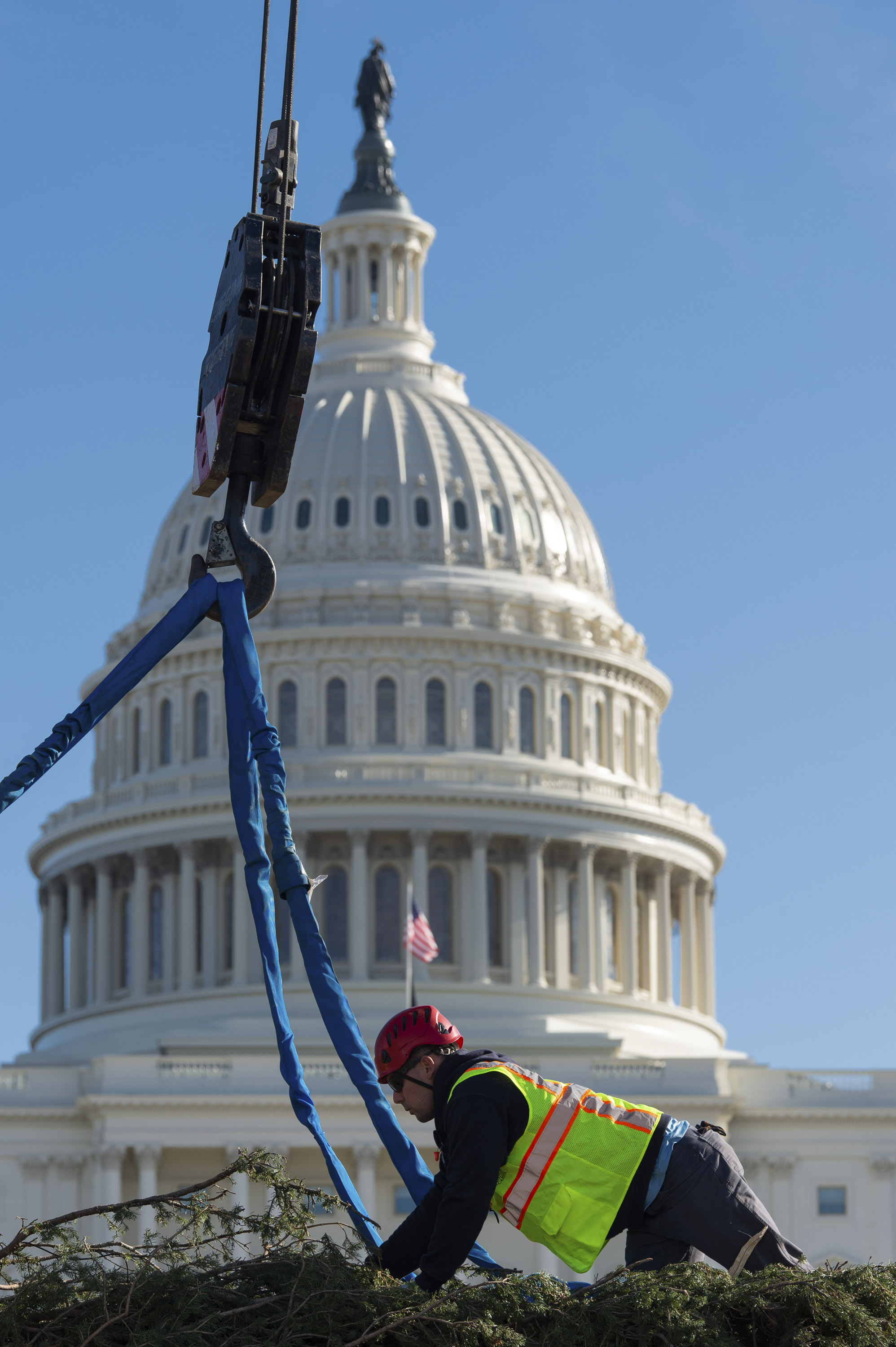 The U.S. Forest Service and the Architect of the Capitol work together.