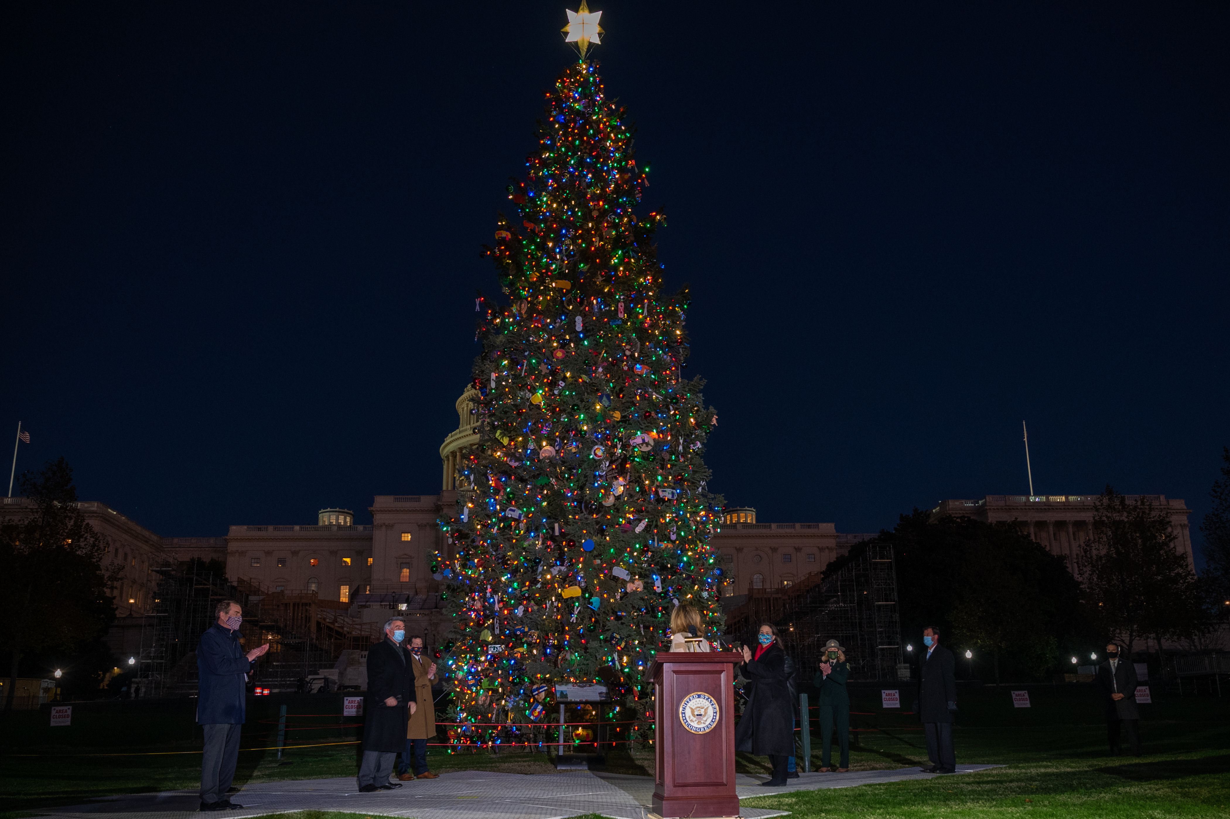 Photo of the Capitol Christmas Tree decorated and lit up at night during the lighting ceremony.