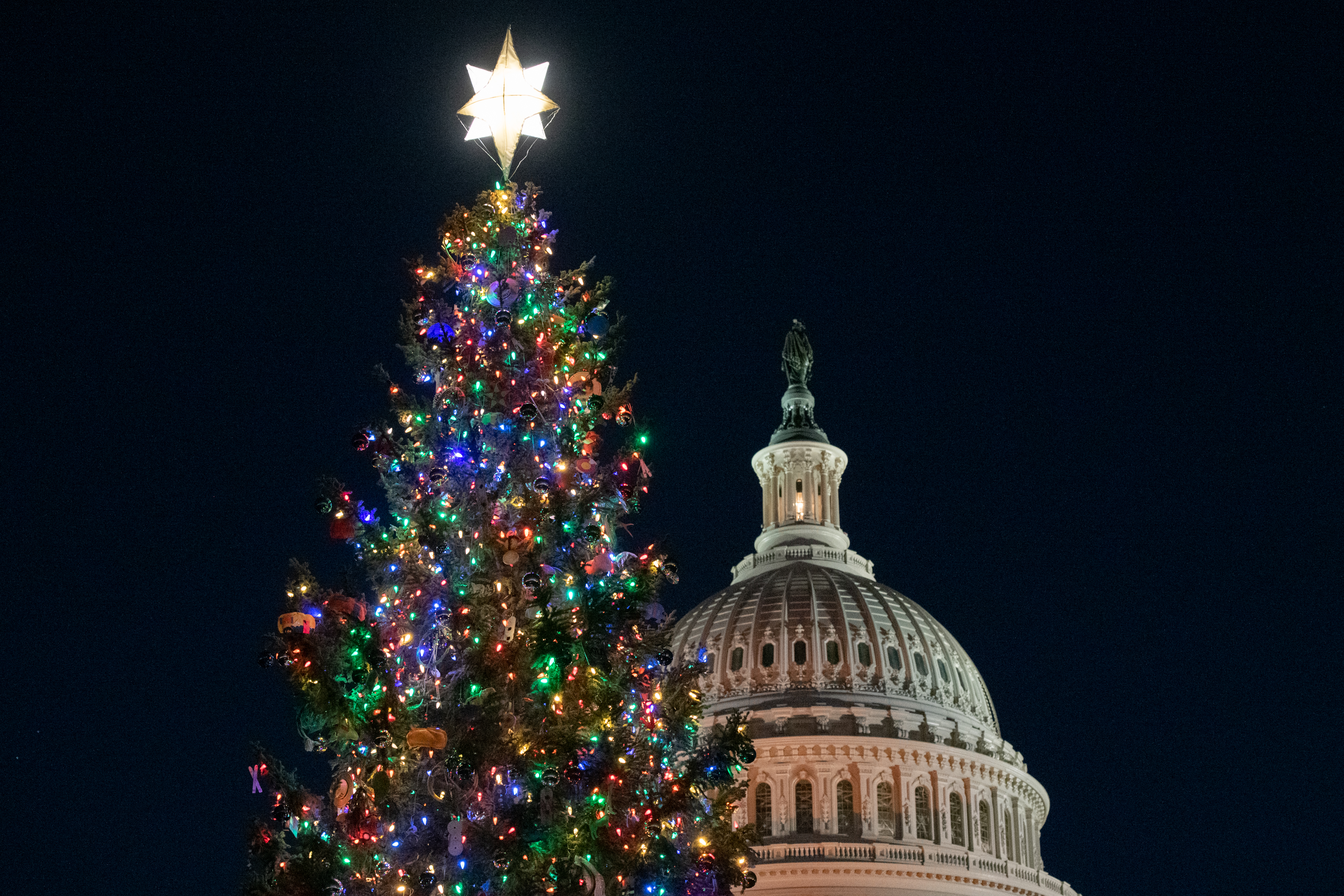 Photo of the Capitol Christmas Tree lit up at night in front of the United States Capitol.