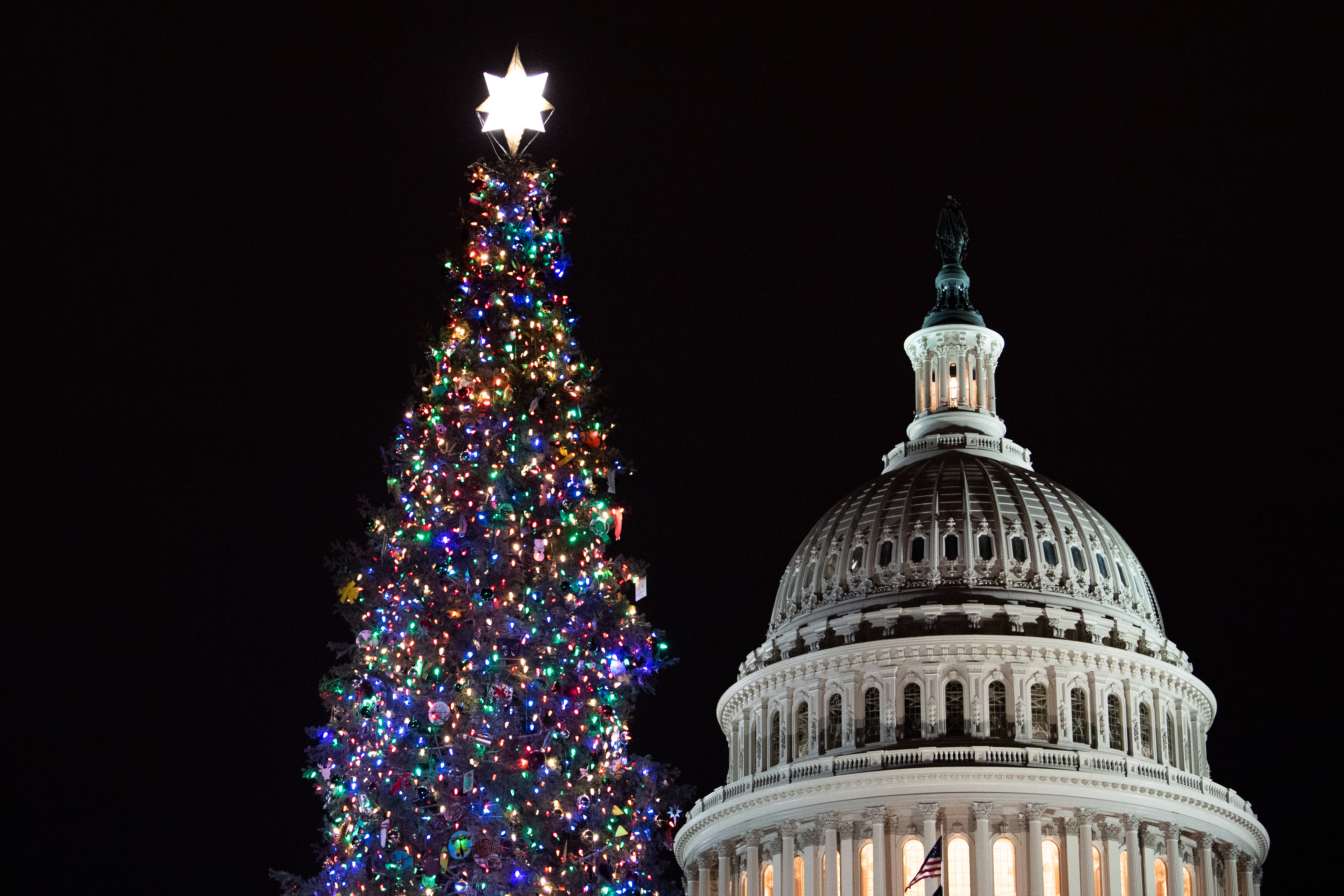 christmas tree lighting dc 2021