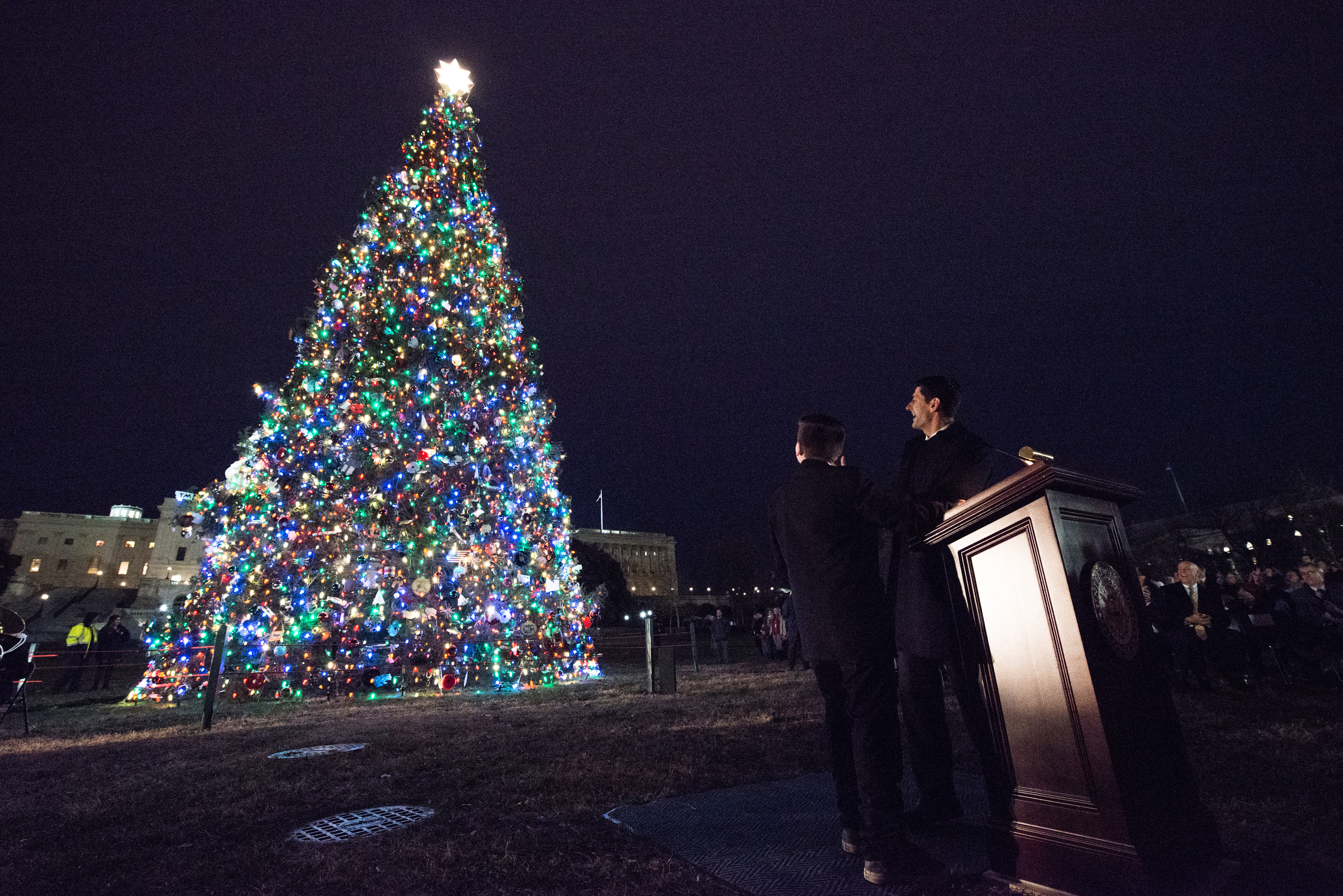 Eleven -year-old Riley Brandmayr of Bozeman, Montana, threw the switch to light the 2017 Tree