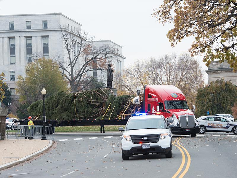 A truck carrying the Capitol Christmas Tree being escorted by a U.S. Capitol Police vehicle