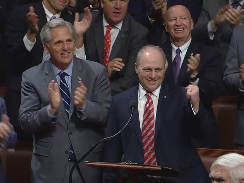 House Majority Whip Steve Scalise standing behind a podium on the House floor