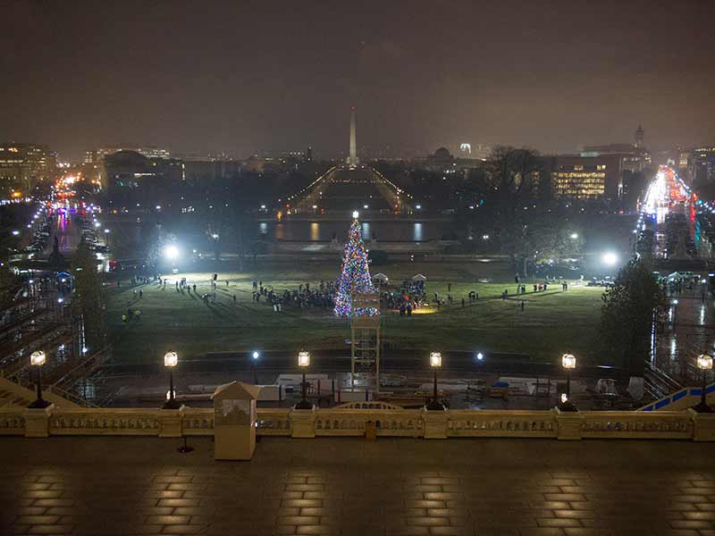The 80-foot-tall Engelmann Spruce illuminating the West Front Lawn of the U.S. Capitol