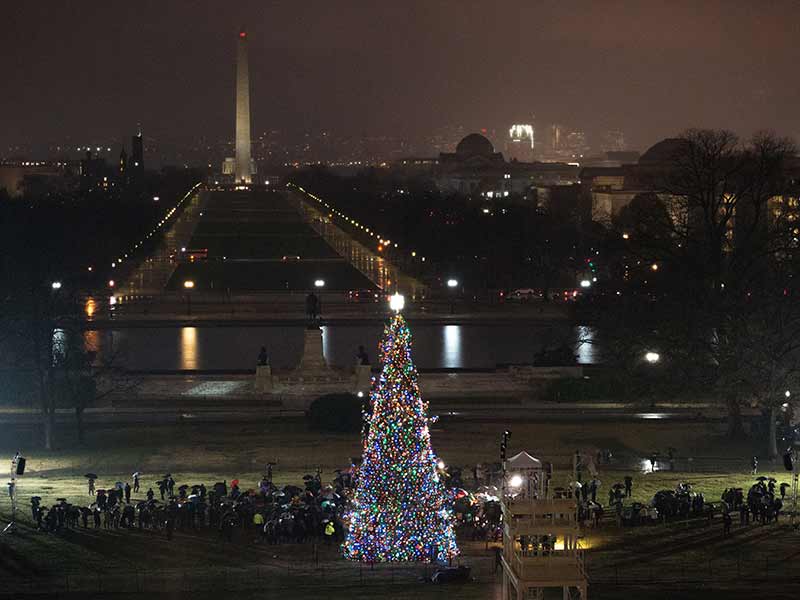 The 2016 Capitol Christmas Tree at night with the Washington Monument in the background